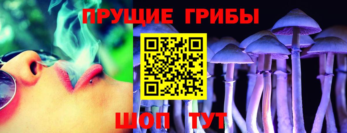 Альфа ПВП Можга