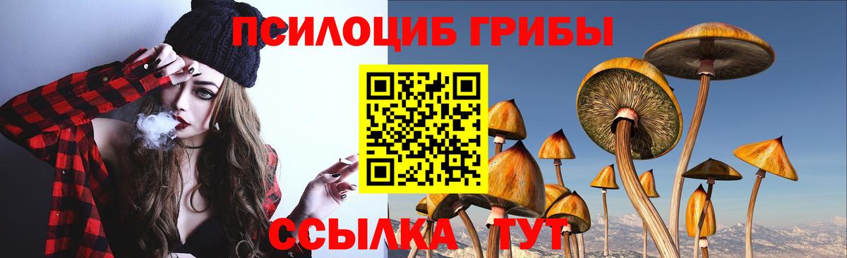 хочу   Вход с VPN  Псилоцибиновые грибы Psilocybine cubensis  Можга  Галлюциногенные грибы Magic Shrooms 